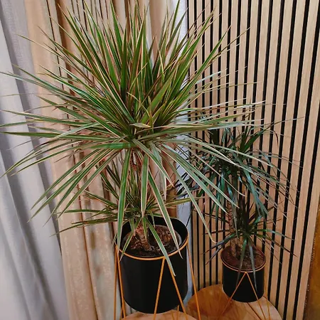 Apartamento Sky Luxury View Free Parking *